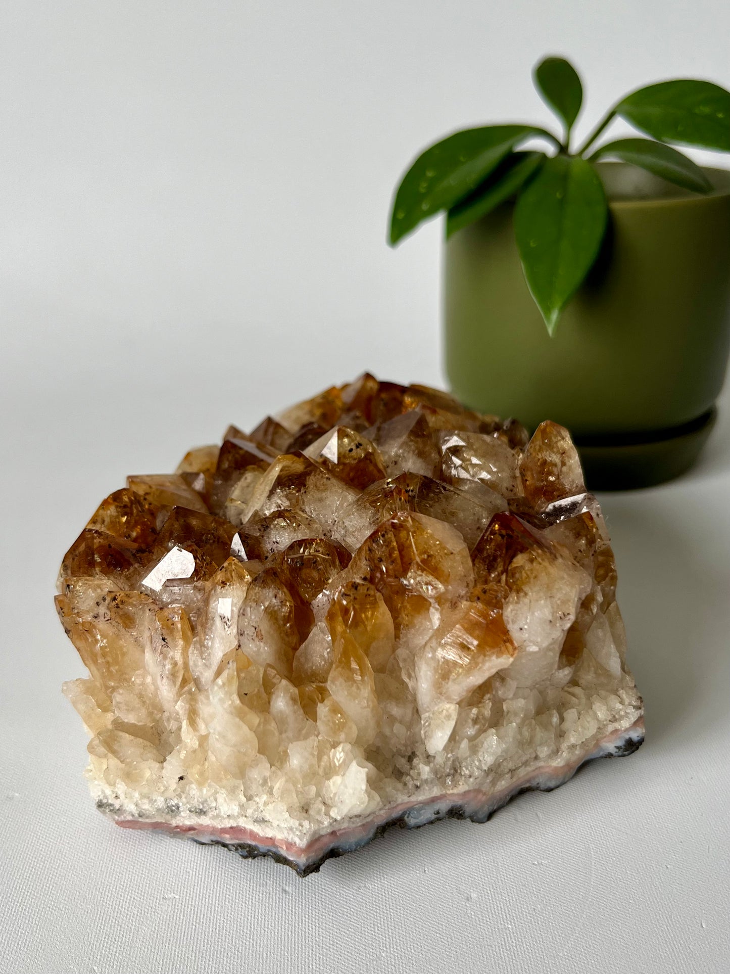Citrine Cluster | Bespoke Crystals