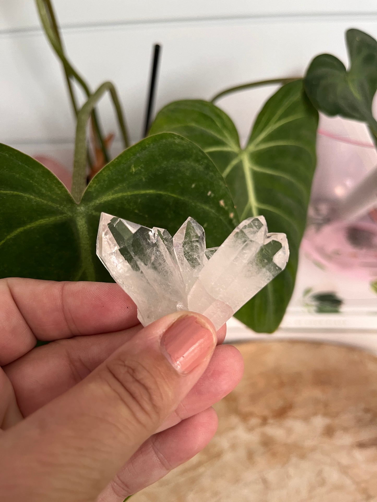 Brazilian Quartz Cluster #6 | Bespoke Crystals