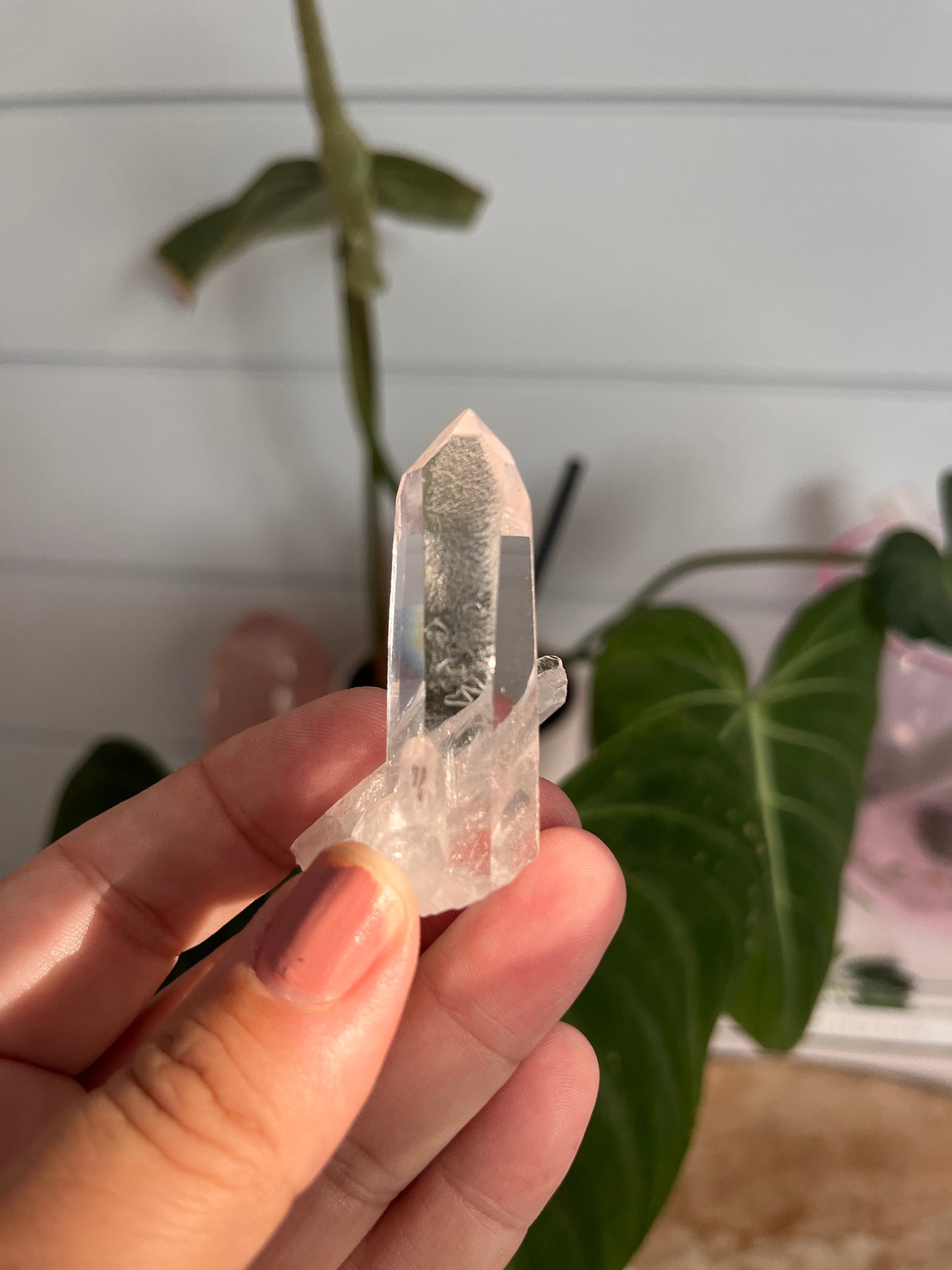 Brazilian Quartz Starbrury Cluster #5 | Bespoke Crystals