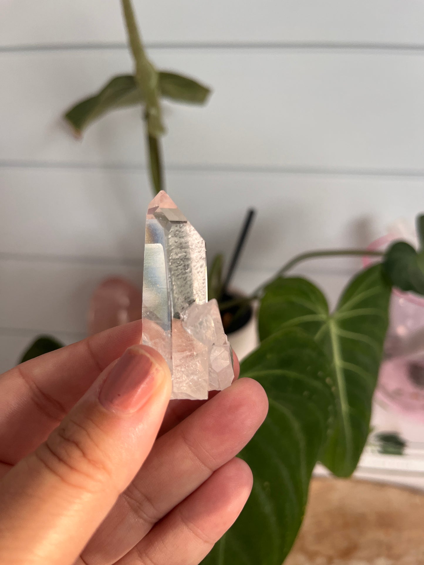 Brazilian Quartz Starbrury Cluster #5 | Bespoke Crystals
