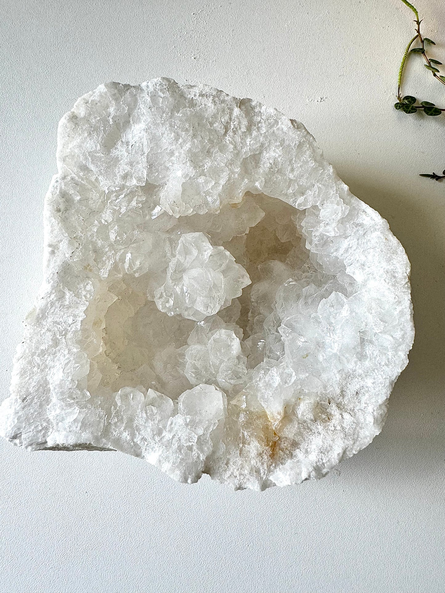 Clear Quartz Crystal Geode | Bespoke Crystals