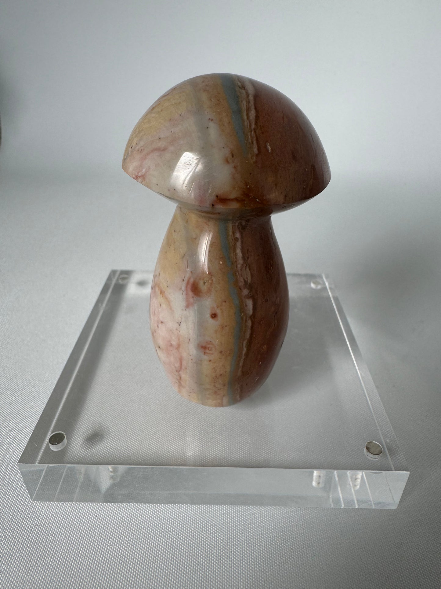 Polychrome Jasper Mushroom | Bespoke Crystals