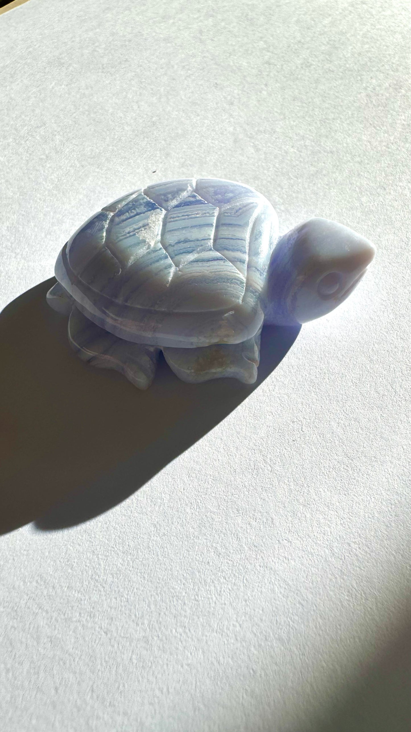 Blue Lace Agate Turtles | Bespoke Crystals