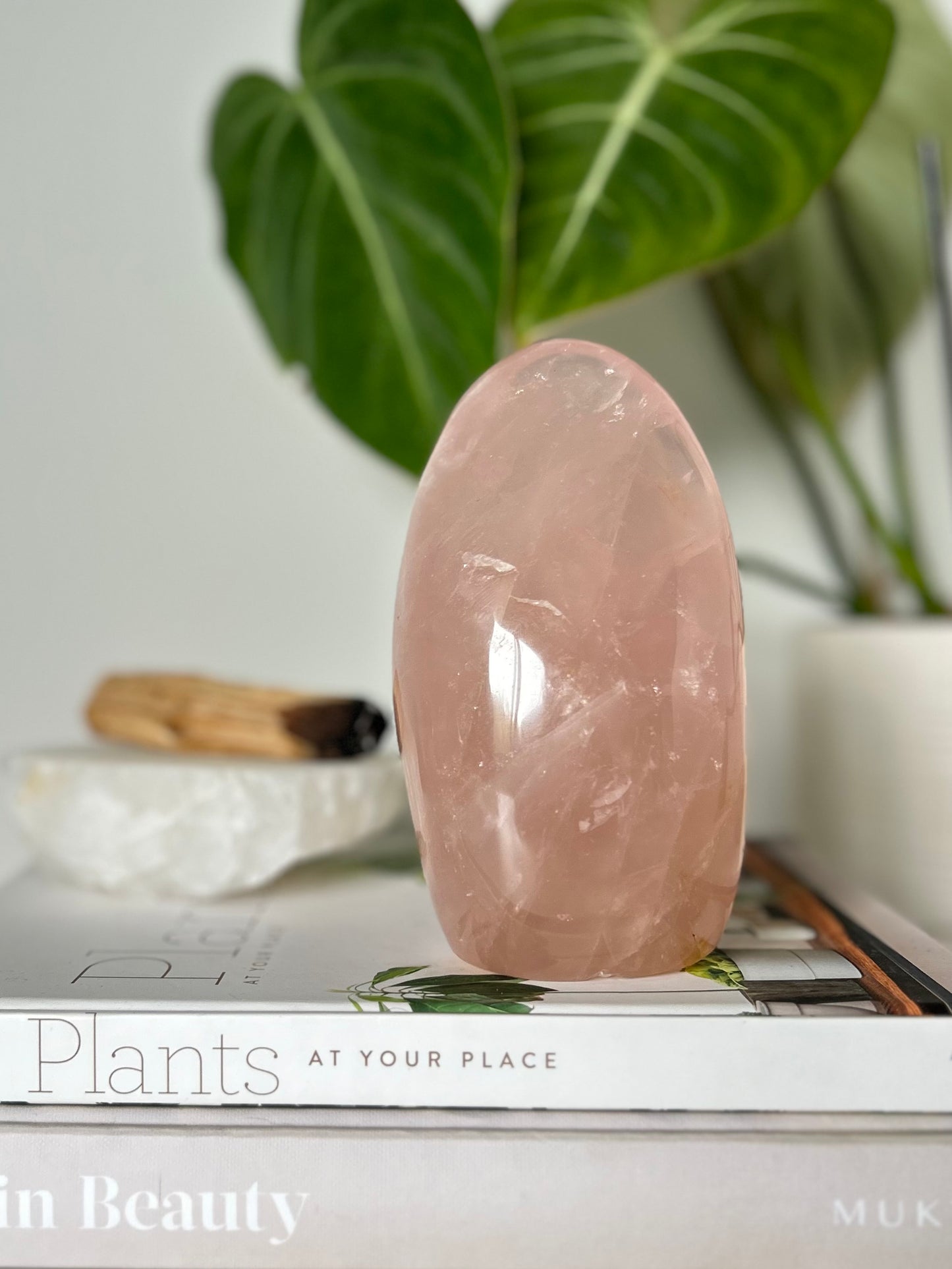 Rose Quartz Free Form | Bespoke Crystals