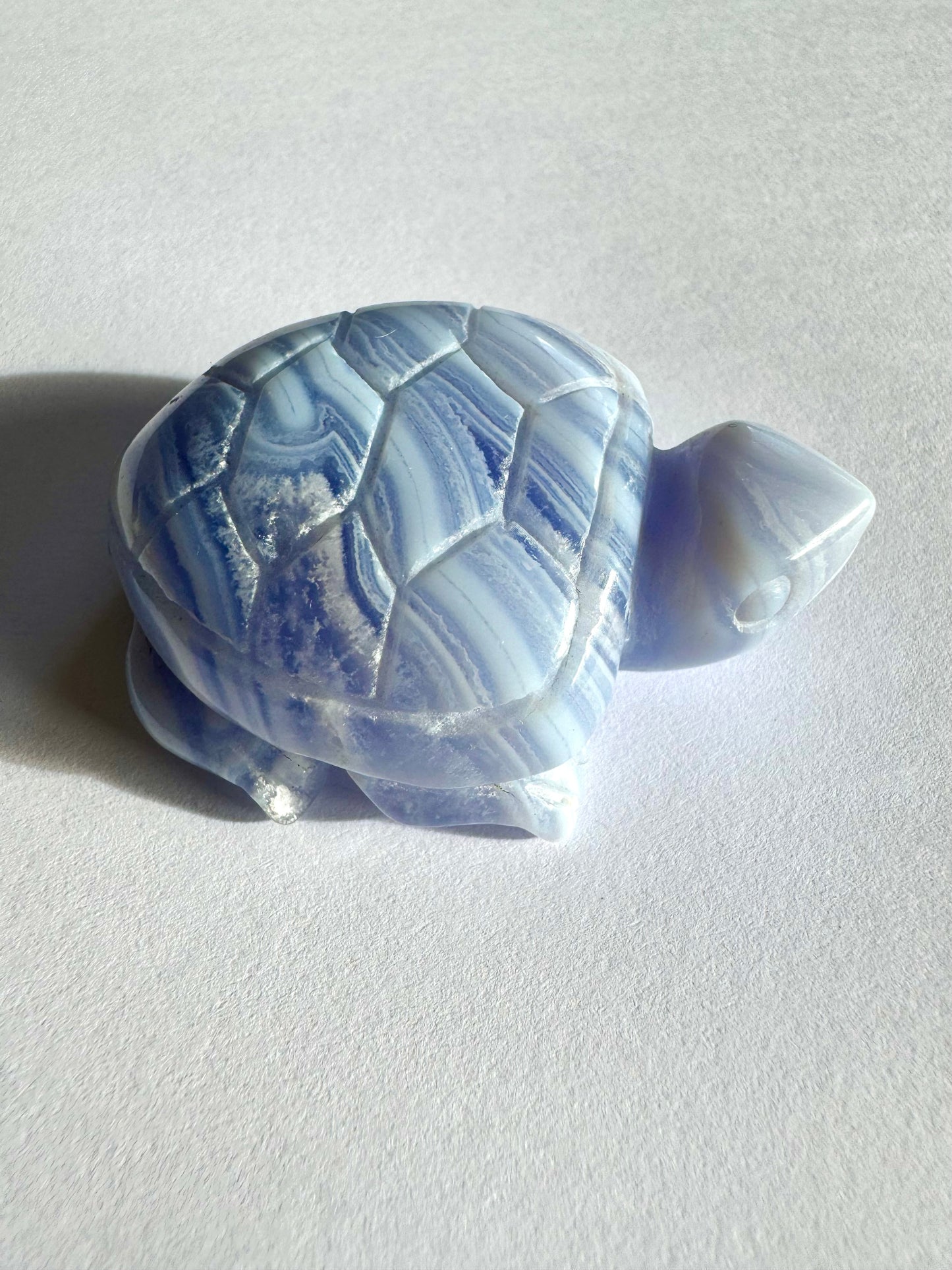 Blue Lace Agate Turtles | Bespoke Crystals