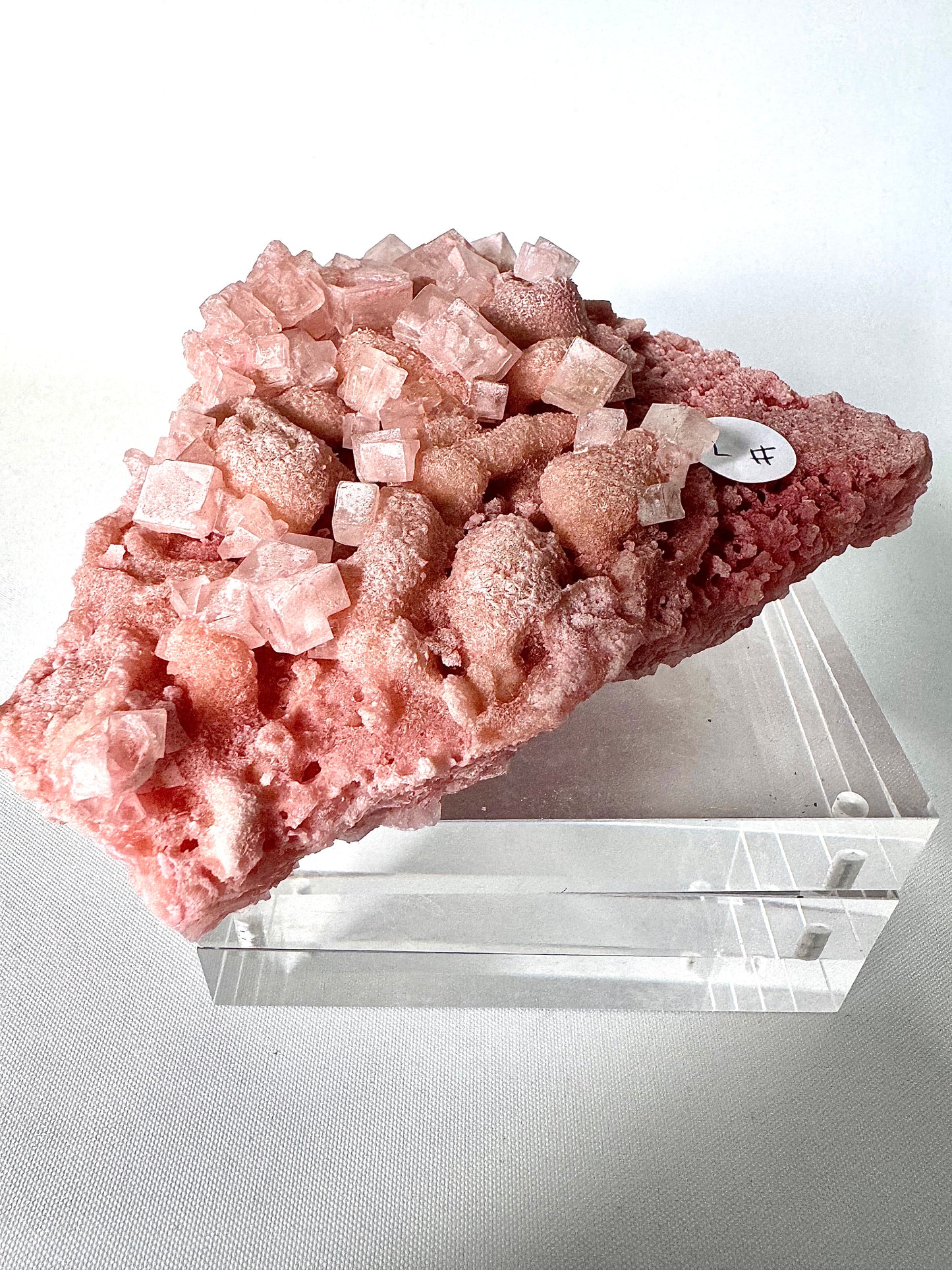 Rare Pink Halite #7 | Bespoke Crystals