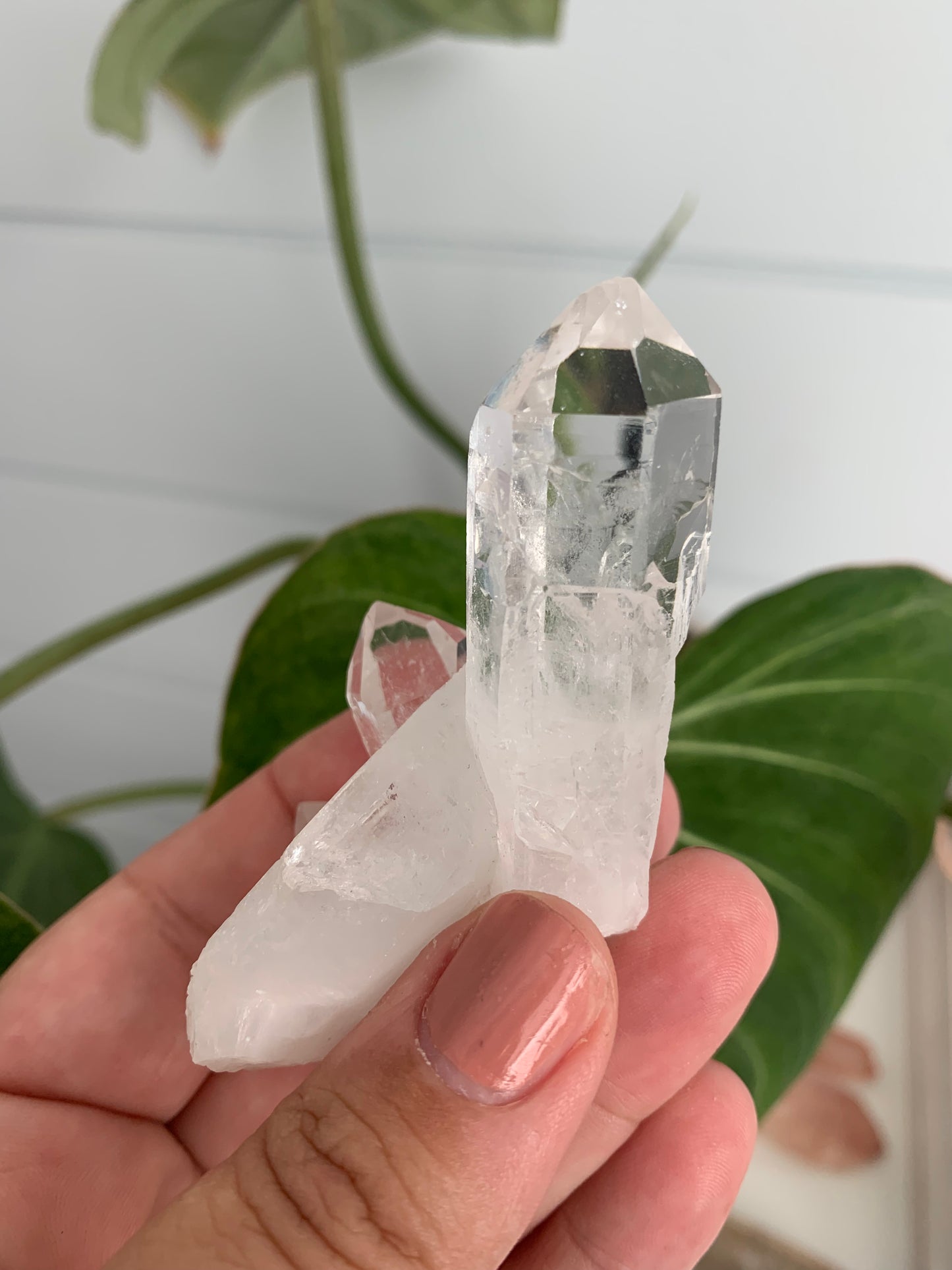 Brazilian Quartz Cluster #2 | Bespoke Crystals