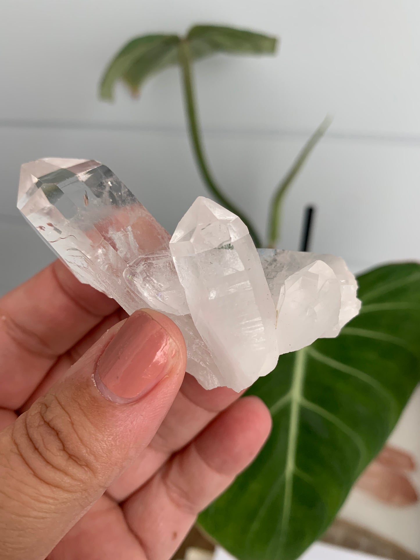 Brazilian Quartz Cluster #2 | Bespoke Crystals