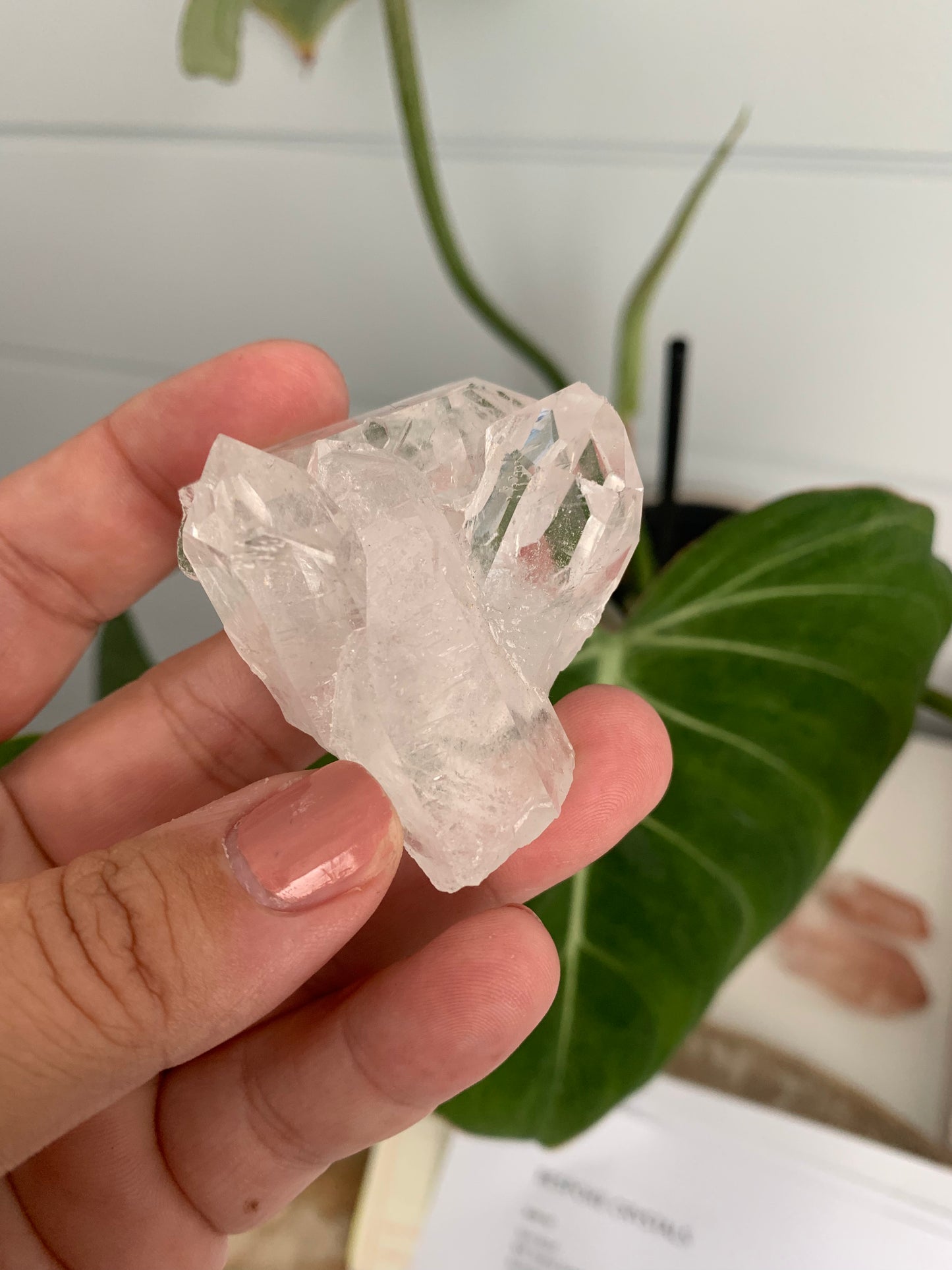 Brazilian Quartz Cluster #3 | Bespoke Crystals