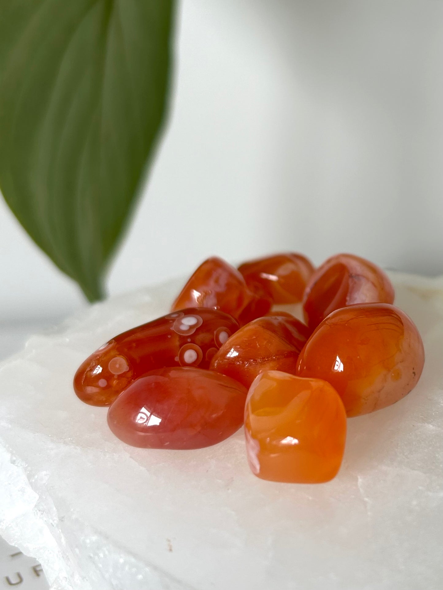 Carnelian Banded Eye Tumble Stone | Bespoke Crystals