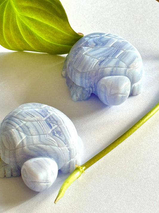 Blue Lace Agate Turtles | Bespoke Crystals