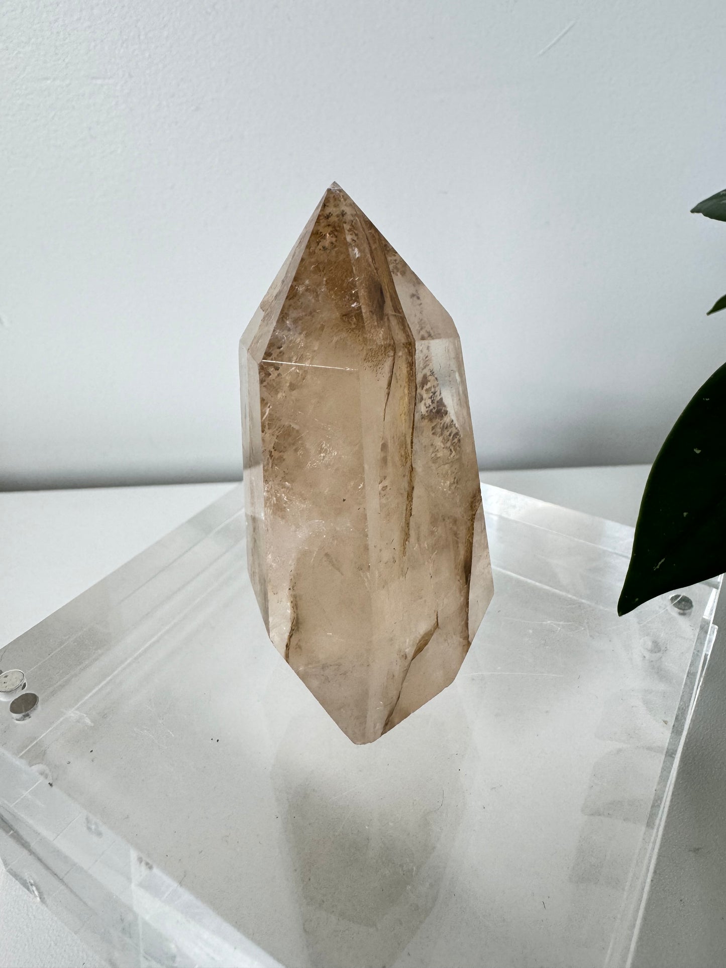 Dendritic Girasol Quartz Point | Bespoke Crystals