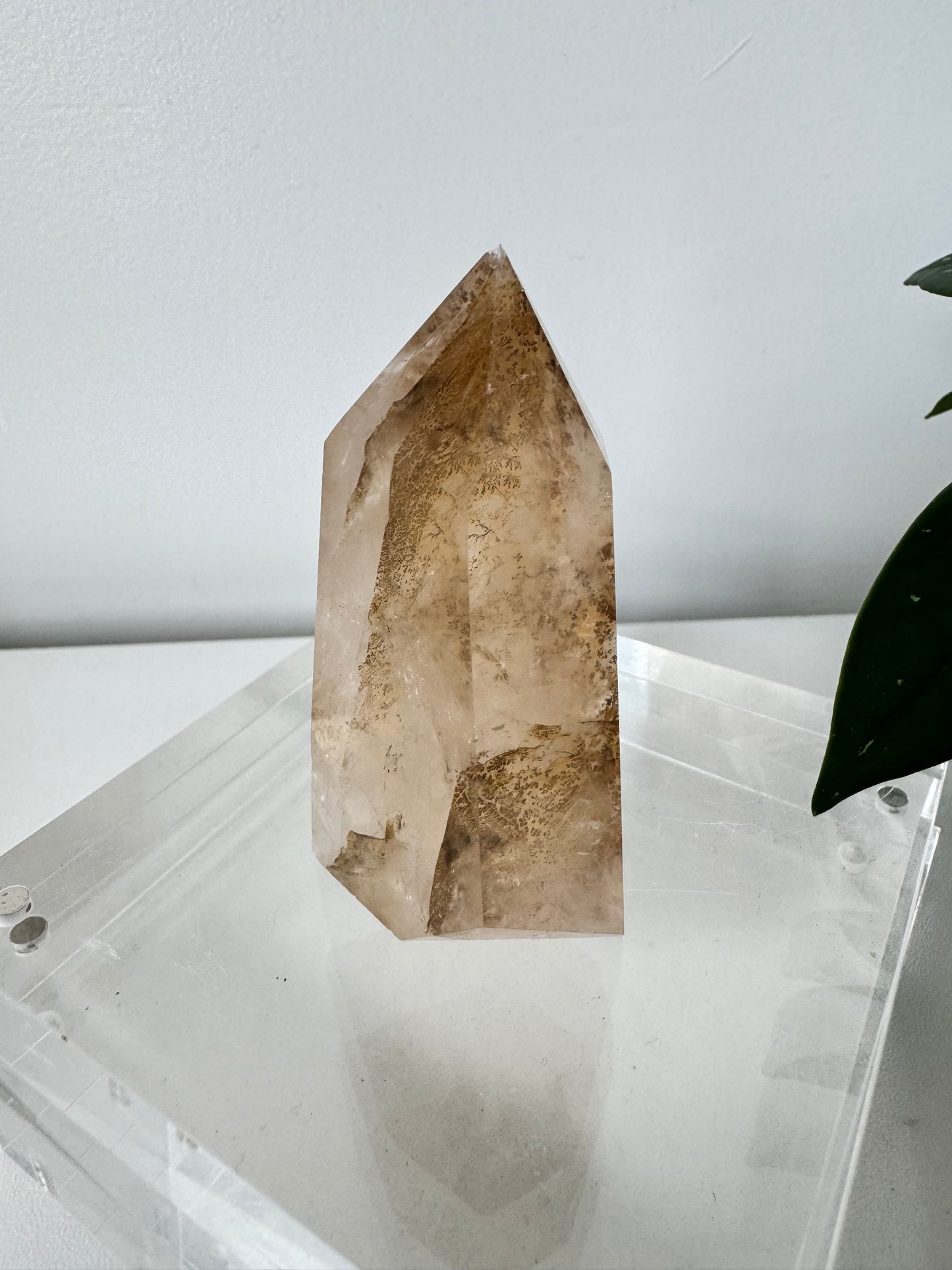 Dendritic Girasol Quartz Point | Bespoke Crystals