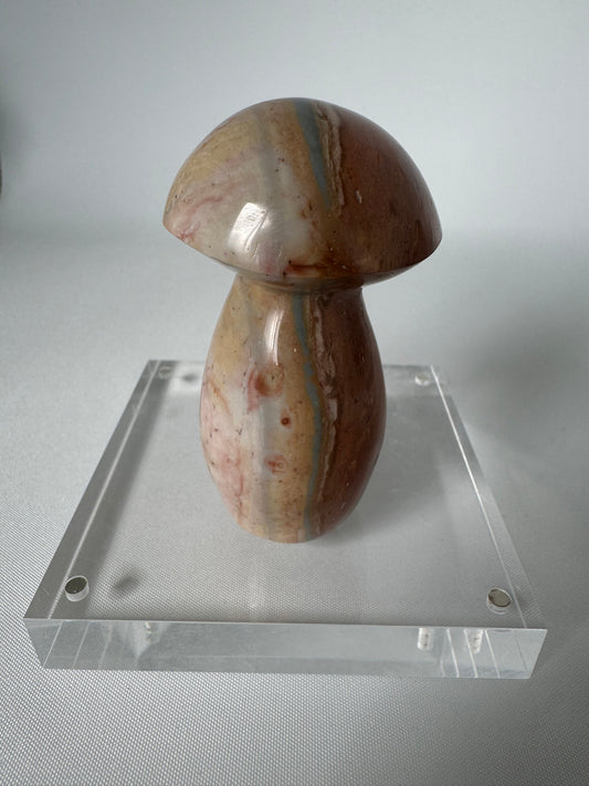 Polychrome Jasper Mushroom | Bespoke Crystals