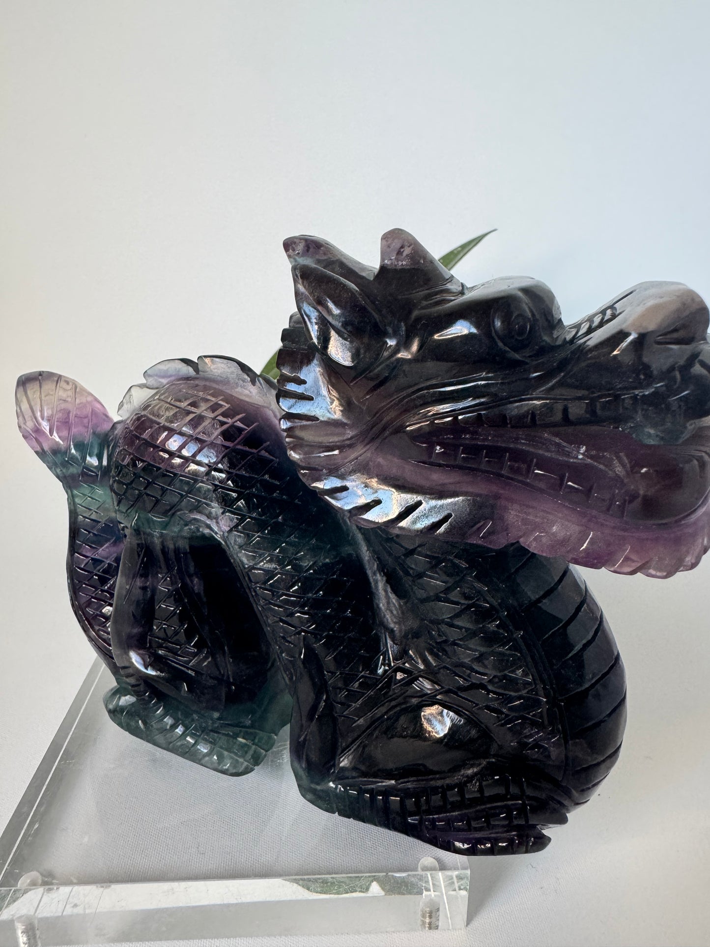 Rainbow Fluorite Dragon Carving | Bespoke Crystals