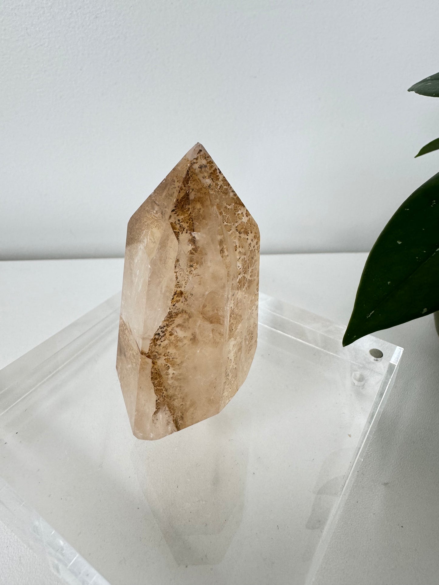 Dendritic Girasol Quartz Point | Bespoke Crystals