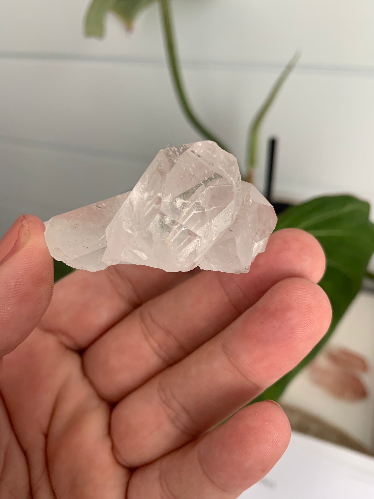 Brazilian Quartz Cluster #3 | Bespoke Crystals